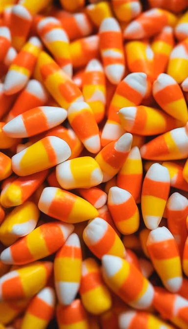 Candy Corn Season Candy Corn Season