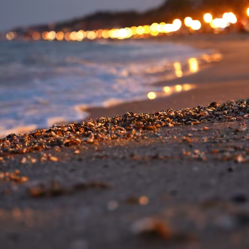 Coastal Evening
