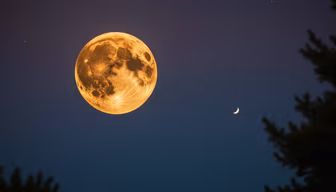 Celestial Harmony