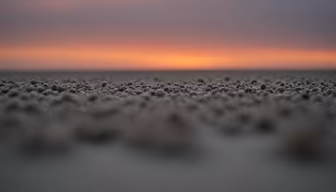 Beach at Sunset Beach at Sunset