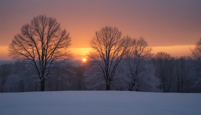 Winter's Glow