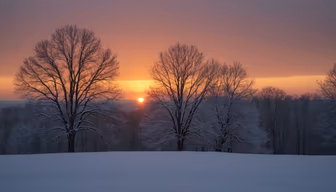 Winter's Glow