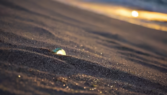 Hidden Treasure Hidden Treasure