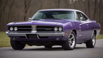Purple Power Purple Power