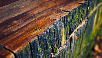 Weathered Wood Weathered Wood