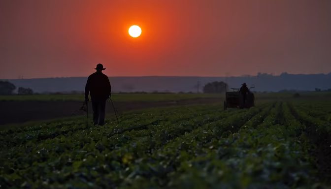 Sunset on the Farm