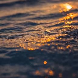 Golden Hour Waves Golden Hour Waves