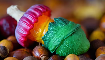 Rainbow Mushrooms