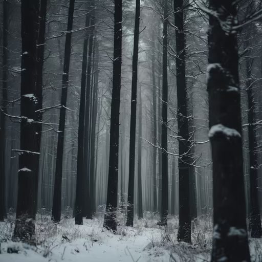 Winter's Embrace