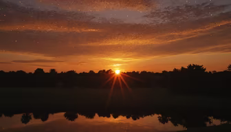Golden Hour Serenity