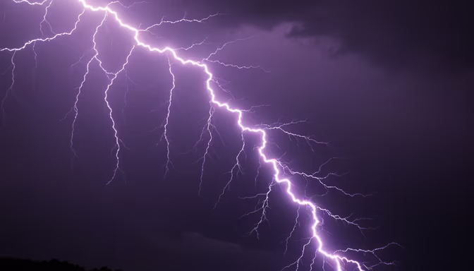 Electric Night