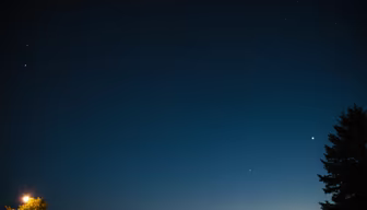 Starry Night