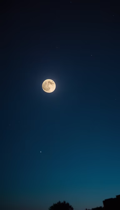 Moonlit Night