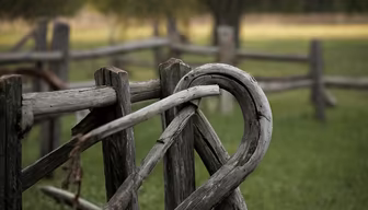 Rustic Charm