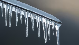 Winter's Grip