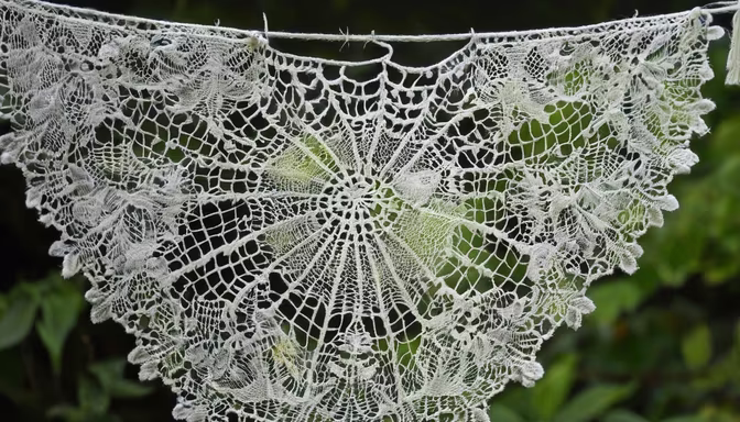 Lace in Nature