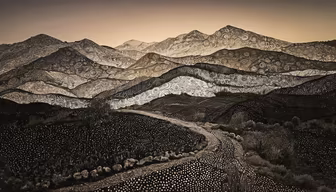 Mountain Majesty Mountain Majesty
