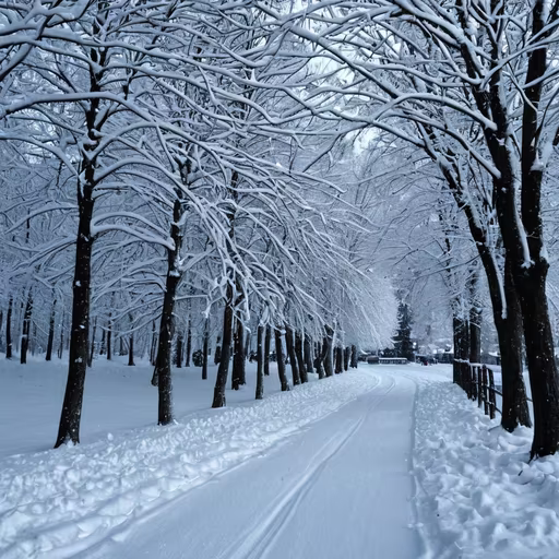 Winter Wonderland