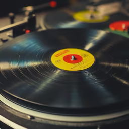 Spinning Vinyl Spinning Vinyl