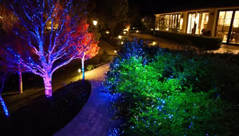Enchanted Garden Enchanted Garden