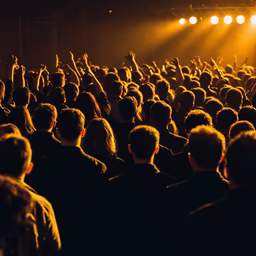 Concert Crowd Concert Crowd