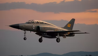 Sunset Flight Sunset Flight