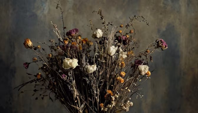 Dried Beauty