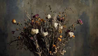 Dried Beauty Dried Beauty