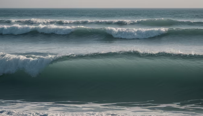 Ocean's Embrace