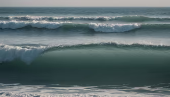 Ocean's Embrace Ocean's Embrace