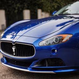 Italian Elegance Italian Elegance