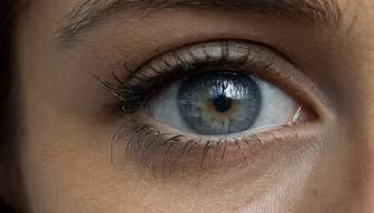Window to the Soul Window to the Soul