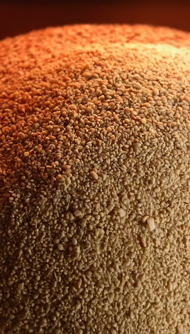 Sesame Seeds Galore