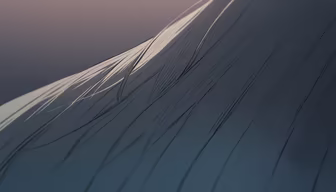 Silken Strands